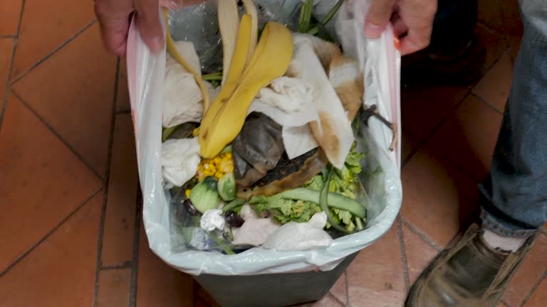  , SC Junk Removal Services Pros
